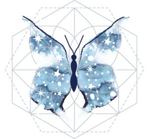 All About Eclipses Astro Butterfly