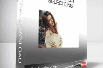 Ally Anderson – Pixel Perfect Selections