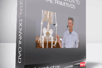 An Introduction to the Primitives