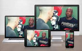 Barry Robinson - MMA Striking Evolved - The Blueprint for World Class Fighters