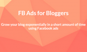 Bobby Hoyt - Fb Ads for Bloggers