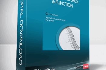 CHEK Institute – Spinal Structures & Function