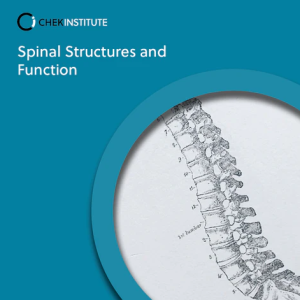 CHEK Institute - Spinal Structures & Function