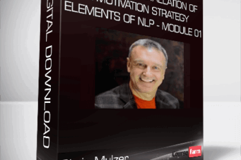Chris Mulzer – Design and Installation of a Motivation Strategy – Elements of NLP – Module 01