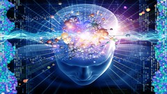 Chris Spink - Master Your Mind & Create Healthy Habits 4 Life Success