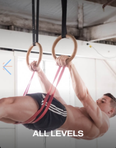 Daniel Vadnal (FitnessFAQs) - Lever Pro