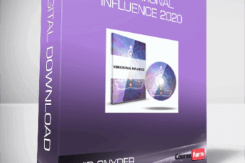 David Snyder – Vibrational Influence 2020