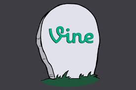 VINE: DIY Branding Course