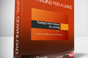 E-mini Bonds – Day Trading For A Living