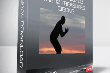 Flowing Zen – 201 – Module 02: The 12 Treasures Qigong