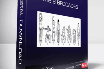 Flowing Zen – The 8 Brocades