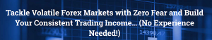Forex Trading Course Level 1 – Pip Fisher – Adam Khoo
