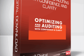 Foxwell Digital – Optimizing and Auditing With Confidence and Clarity