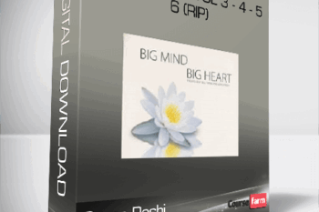 Genpo Roshi – Big Mind DVD Vol 3 – 4 – 5 – 6 (Rip)