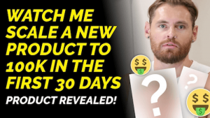 Grant Ambrose - E-Commerce 0-100K Case Study