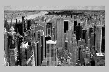 Hit The Mark Trading – Boot Camp 2016 Courses