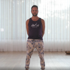 Jason Nemer - Handstand Training