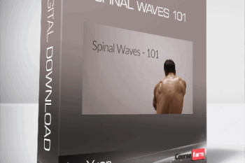 Jon Yuen – Spinal Waves 101