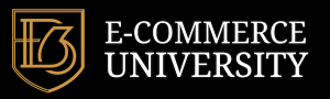 Justin Woll - 2019 BSF E-commerce university