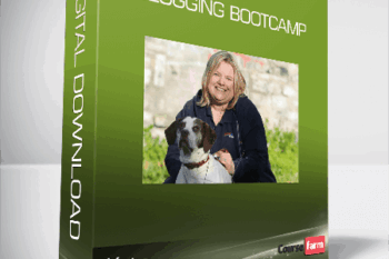 Kate – Blogging Bootcamp