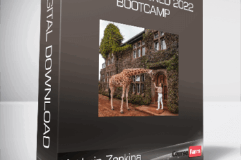 Kathrin Zenkina – Epically Aligned 2022 Bootcamp