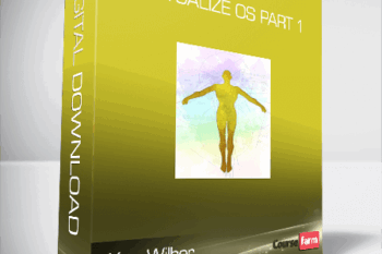 Ken Wilber – Actualize OS part 1