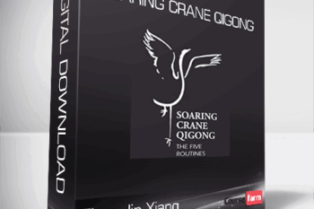 Zhao Jin-Xiang – Soaring Crane Qigong
