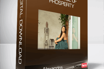 Leeor Alexandra – The School of Prosperity