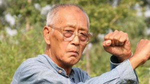 Liu Shichang – Yin style Baguazhang – Penetrating Palms of YSB