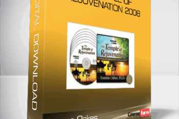 Luanne Oakes – The Temple of Rejuvenation 2008