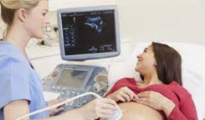 Lynn Waldrop - Fertility