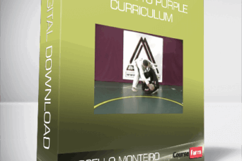 Marcello Monteiro – BJJ Blue to Purple Curriculum