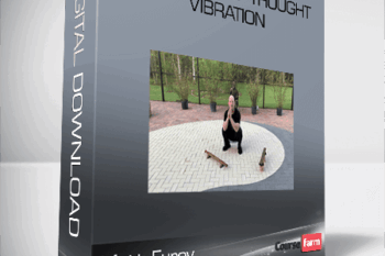 Matt Furey – The Power of Thought Vibration