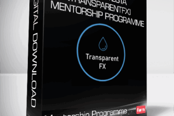 Niccolo Testa (TransparentFX) – Mentorship Programme