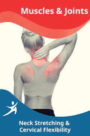 Paul Zaichik - Easy Flexibility - Neck Stretching & Cervical Flexibility