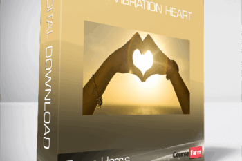 Prune Harris – High Vibration Heart