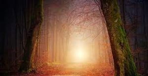 Prune Harris - The Healing Power of Ceremony