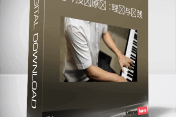 Qi – 钢琴技术原则：理论与实践