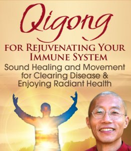 Mingtong Gu - Qigong for Rejuvenating Your Immune System