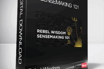 Rebel Wisdom – Sensemaking 101