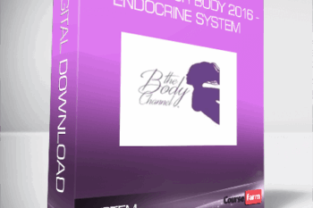 Rebuild Your Body 2016 – Endocrine System