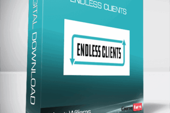 Robert Williams – Endless Clients