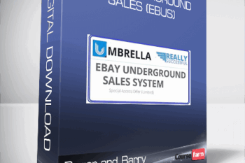 Roger and Barry – eBay Underground Sales (eBus)