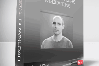 Roland Bal – The Trauma Care Meditations