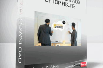 Salman & Abdi – Profitable Brands by Top Figure