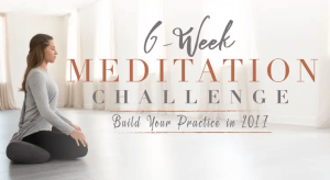 Sandra Anderson - Six Week Meditation Challenge