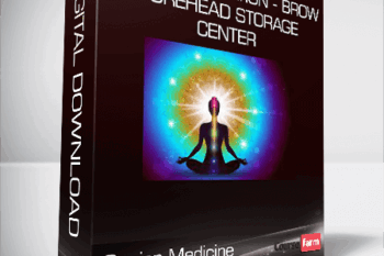 Sapien Medicine – Soul Restoration – Brow Forehead Storage Center