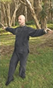 Simon Blow - Da Yan Wild Goose Qigong The 2nd 64 movements