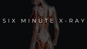 Six-Minute X-Ray Course - Behavior Pilot