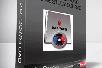Stefan Strecker – NLP – VerfOhrung Home Study Course